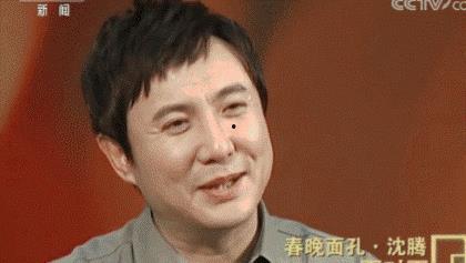 娱乐圈吃瓜沈腾小说,沈腾的瓜田奇遇记